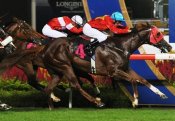 John Powell's latest victory came aboard Sichuan Ruler.<br>Photo by Singapore Turf Club